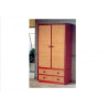 Armoire en rotin Tours en 2 portes et 2 tiroirs